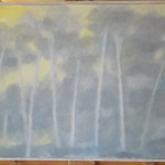 SAM_4652